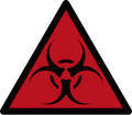 Asylum Experience Origin of the Infection