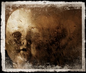 Asylum Zombie Experience